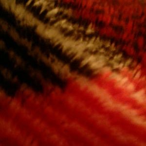 Meet your Posher, Sofia